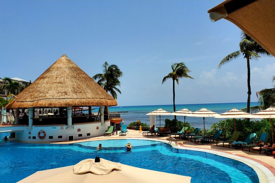 pexels-chemapro-hd-ecco-9330675